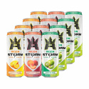 12 x Reign Storm Energy Mixflak, 355 ml