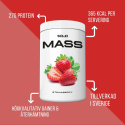 SOLID Nutrition Mass, 1 kg