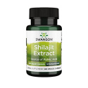 Swanson Shilajit Extract, 400 mg, 60 caps